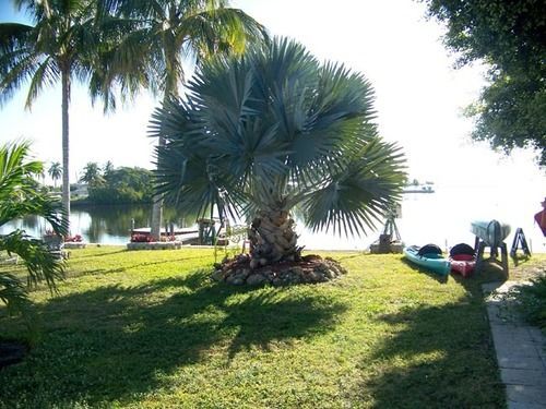 Knolls Court Motel Matlacha Экстерьер фото